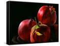 Canvas Black