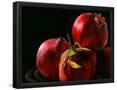 Essential Black