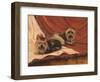 Terrier Couple-Tiffany Hakimipour-Framed Art Print