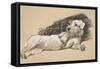 Terrier Detail, 1930, Just Among Friends, Aldin, Cecil Charles Windsor-Cecil Aldin-Framed Stretched Canvas