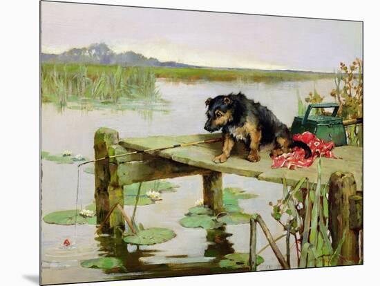 Terrier - Fishing, C.1890-Philip Eustace Stretton-Mounted Giclee Print