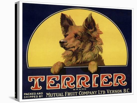 Terrier Label-null-Stretched Canvas