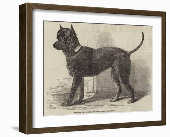 Terrier (Life-Size), in the Great Exhibition-null-Framed Giclee Print