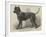 Terrier (Life-Size), in the Great Exhibition-null-Framed Giclee Print