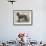 Terrier (Life-Size), in the Great Exhibition-null-Framed Giclee Print displayed on a wall