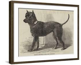 Terrier (Life-Size), in the Great Exhibition-null-Framed Giclee Print