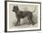 Terrier (Life-Size), in the Great Exhibition-null-Framed Giclee Print