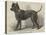 Terrier (Life-Size), in the Great Exhibition-null-Stretched Canvas