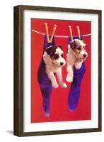 Terrier Puppies in Socks, Retro-null-Framed Art Print