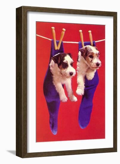 Terrier Puppies in Socks, Retro-null-Framed Art Print