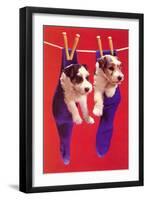 Terrier Puppies in Socks, Retro-null-Framed Art Print