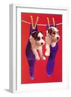 Terrier Puppies in Socks, Retro-null-Framed Art Print