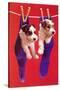 Terrier Puppies in Socks, Retro-null-Stretched Canvas