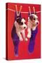Terrier Puppies in Socks, Retro-null-Stretched Canvas