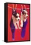 Terrier Puppies in Socks-Found Image Press-Framed Stretched Canvas