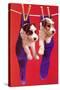 Terrier Puppies in Socks-Found Image Press-Stretched Canvas