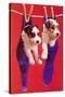 Terrier Puppies in Socks-Found Image Press-Stretched Canvas