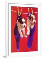 Terrier Puppies in Socks-Found Image Press-Framed Photographic Print