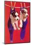 Terrier Puppies in Socks-Found Image Press-Mounted Photographic Print