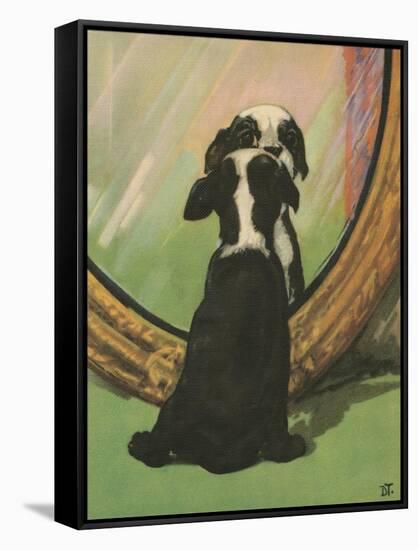 Terrier Trouble IV-null-Framed Stretched Canvas