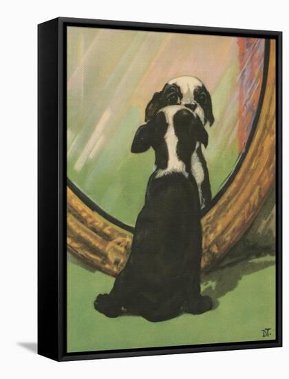 Terrier Trouble IV-null-Framed Stretched Canvas