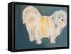 Terrier-Sally Muir-Framed Stretched Canvas