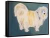 Terrier-Sally Muir-Framed Stretched Canvas