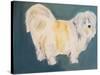 Terrier-Sally Muir-Stretched Canvas