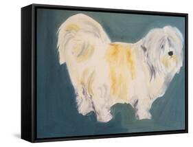 Terrier-Sally Muir-Framed Stretched Canvas