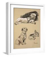 Terriers, 1930, Just Among Friends, Aldin, Cecil Charles Windsor-Cecil Aldin-Framed Giclee Print