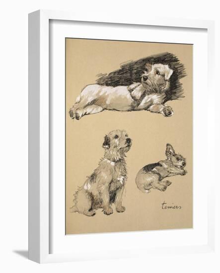 Terriers, 1930, Just Among Friends, Aldin, Cecil Charles Windsor-Cecil Aldin-Framed Giclee Print