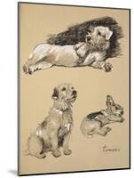 Terriers, 1930, Just Among Friends, Aldin, Cecil Charles Windsor-Cecil Aldin-Mounted Giclee Print