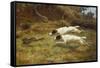 Terriers on a Hare-Thomas Blinks-Framed Stretched Canvas