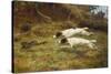 Terriers on a Hare-Thomas Blinks-Stretched Canvas