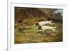 Terriers on a Hare-Thomas Blinks-Framed Giclee Print