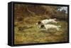 Terriers on a Hare-Thomas Blinks-Framed Stretched Canvas