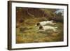 Terriers on a Hare-Thomas Blinks-Framed Giclee Print