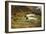 Terriers on a Hare-Thomas Blinks-Framed Giclee Print