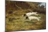 Terriers on a Hare-Thomas Blinks-Mounted Giclee Print