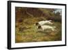 Terriers on a Hare-Thomas Blinks-Framed Giclee Print