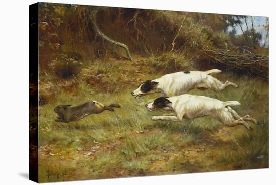 Terriers on a Hare-Thomas Blinks-Stretched Canvas