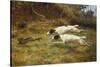 Terriers on a Hare-Thomas Blinks-Stretched Canvas