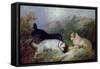 Terriers Rabbiting-Maxwell Armfield-Framed Stretched Canvas