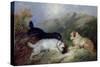 Terriers Rabbiting-Maxwell Armfield-Stretched Canvas