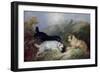 Terriers Rabbiting-Maxwell Armfield-Framed Giclee Print