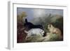 Terriers Rabbiting-Maxwell Armfield-Framed Giclee Print