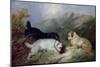 Terriers Rabbiting-Maxwell Armfield-Mounted Giclee Print