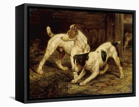 Terriers with a Caged Ferret, 1875-null-Framed Stretched Canvas