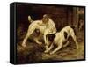 Terriers with a Caged Ferret, 1875-null-Framed Stretched Canvas