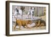 Terriers-null-Framed Art Print